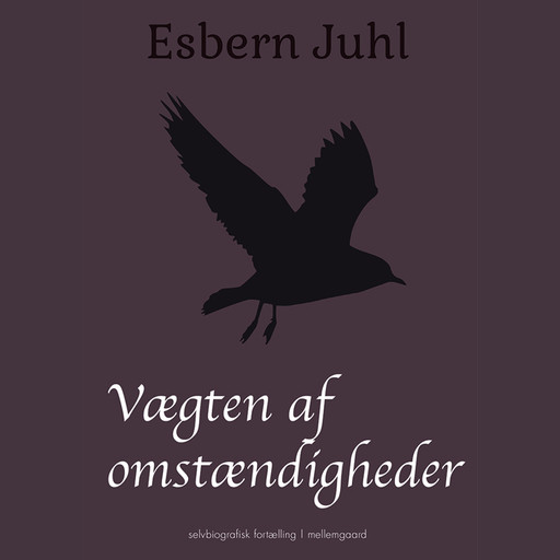 Vægten af omstændigheder, Esbern Juhl