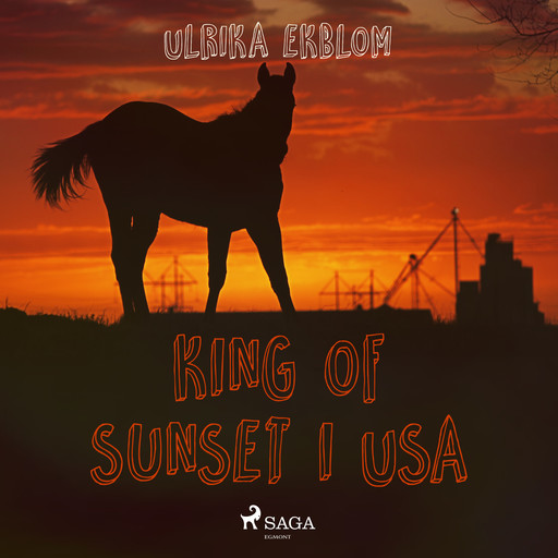 King of Sunset i USA, Ulrika Ekblom