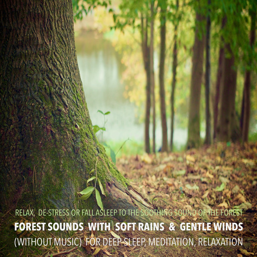 Forest Sounds with Soft Rains & Gentle Winds (without music) for Deep Sleep, Meditation, Relaxation, Yella A. Deeken