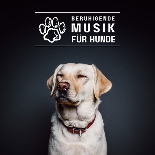 Beruhigende Musik für Hunde, World Of Dogs