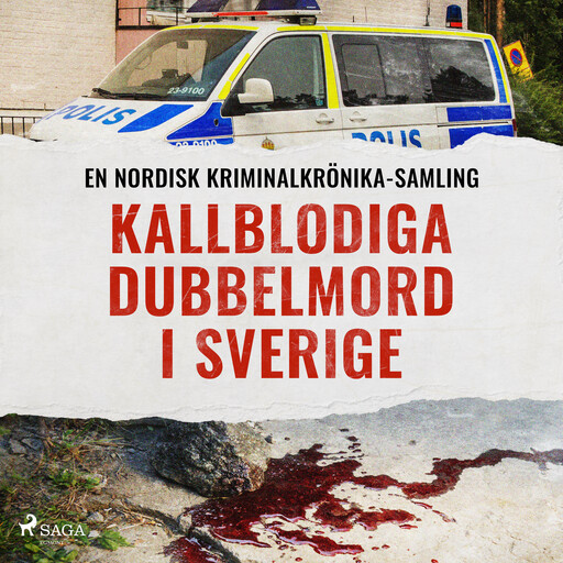 Kallblodiga dubbelmord i Sverige, Diverse