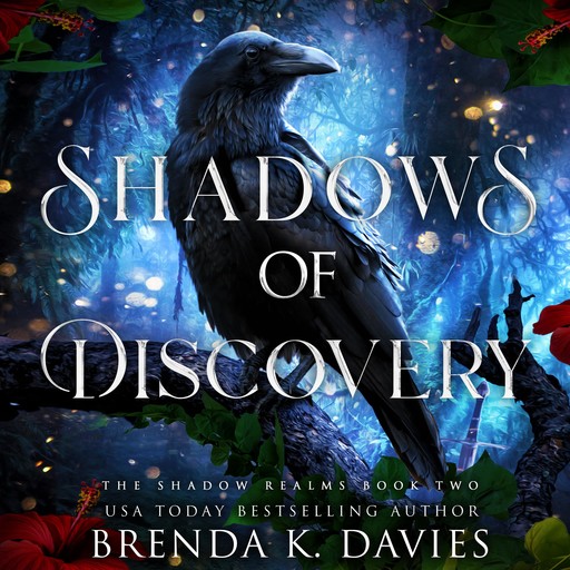 Shadows of Discovery (The Shadow Realms, Book 2), Brenda K. Davies