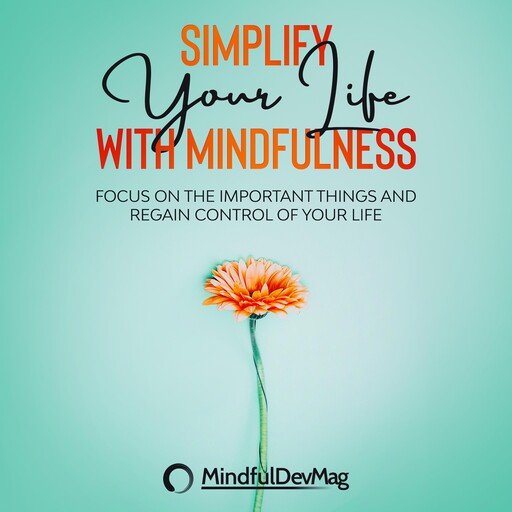Simplify Your Life with Mindfulness, MindfulDevMag