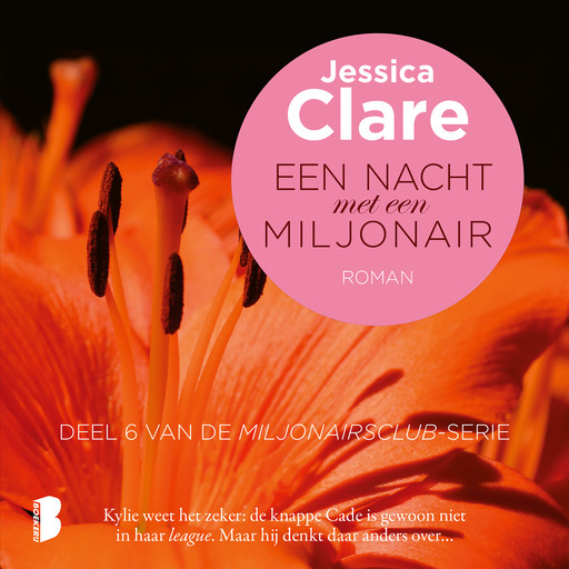 Een nacht met een miljonair, Jessica Clare