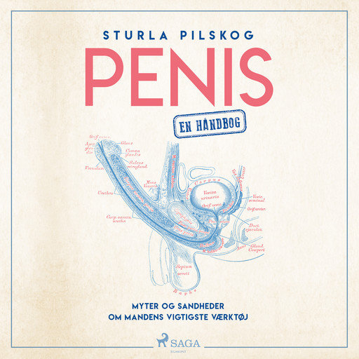 Penis - en håndbog, Sturla Pilskog