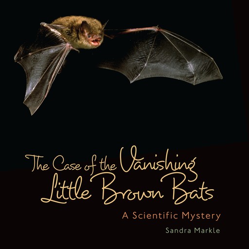 The Case of the Vanishing Little Brown Bats, Sandra Markle