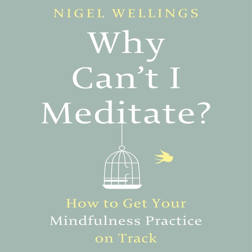Why Can't I Meditate?, Nigel Wellings