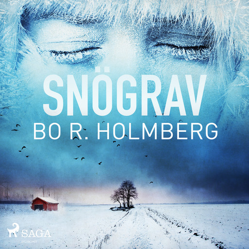 Snögrav, Bo R. Holmberg