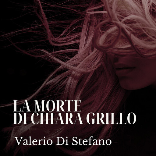 La morte di Chiara Grillo, Valerio Di Stefano