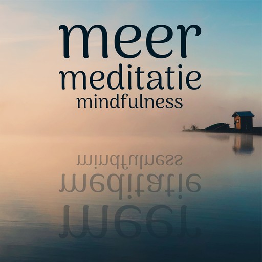 Meer Meditatie: Mindfulness, Suzan van der Goes