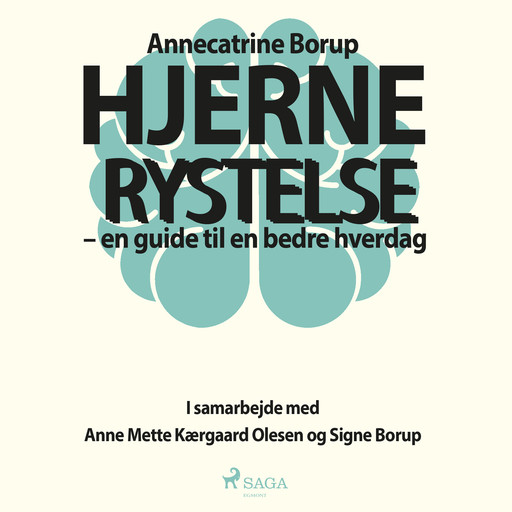 Hjernerystelse - En guide til en bedre hverdag, Annecatrine Borup