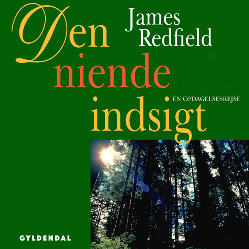 Den niende indsigt, James Redfield