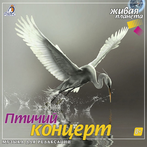 Птичий концерт, Александр Тихонов