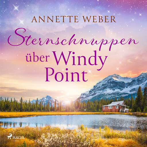 Sternschnuppen über Windy Point, Annette Weber