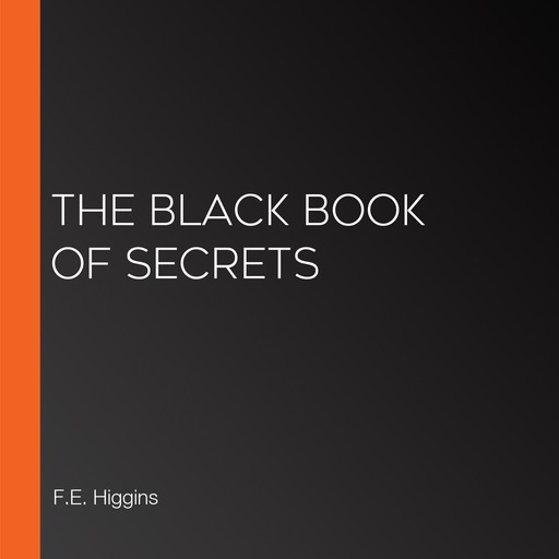 The Black Book of Secrets, F.E.Higgins