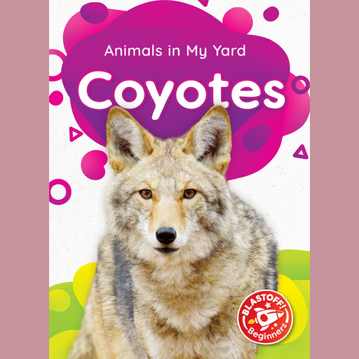 Coyotes, Amy McDonald