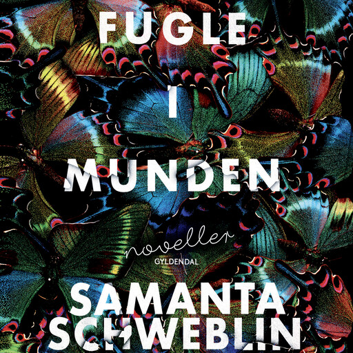 Fugle i munden, Samanta Schweblin