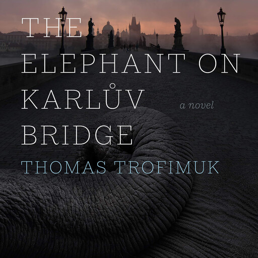 The Elephant on Karlův Bridge, Thomas Trofimuk