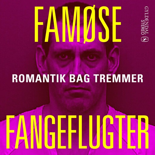 Romantik bag tremmer, Janne Aagaard