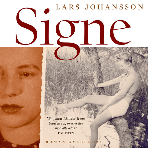 Signe, Lars Johansson
