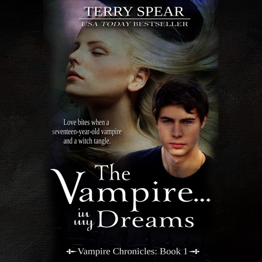 The Vampire...In My Dreams, Terry Spear