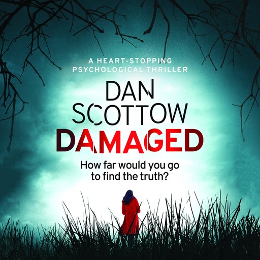 Damaged, Dan Scottow
