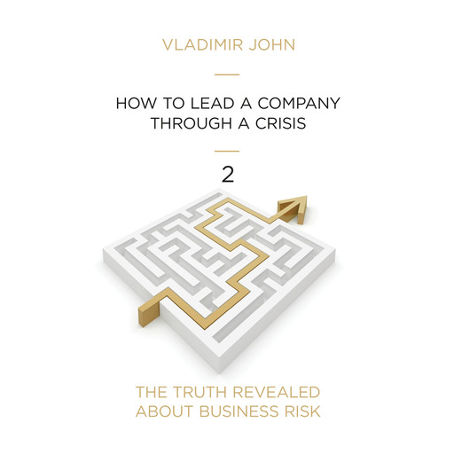 How to get a company through a crisis, Vladimir John
