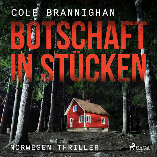 Botschaft in Stücken: Norwegen-Thriller, Cole Branninghan