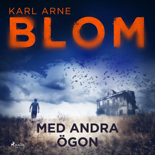 Med andra ögon, Karl Arne Blom