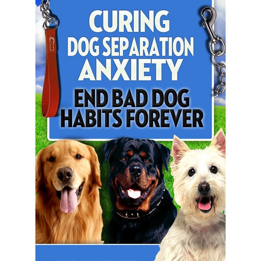 Dog Training: Curing Dog Separation Anxiety, Empowered Living