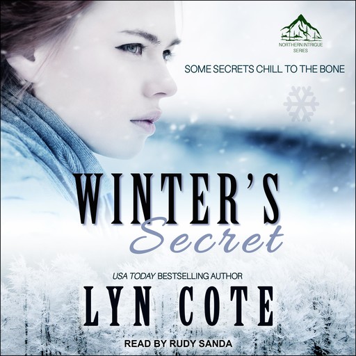 Winter's Secret, Lyn Cote