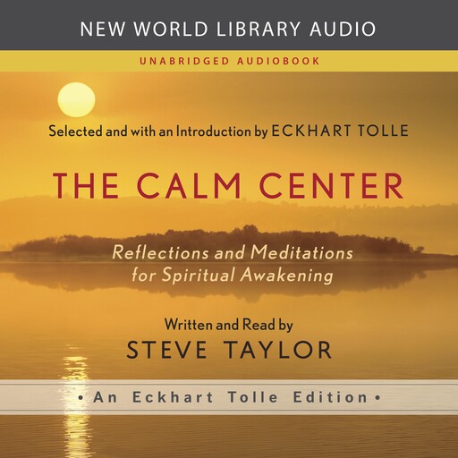The Calm Center, Steve Taylor
