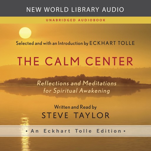 The Calm Center, Steve Taylor