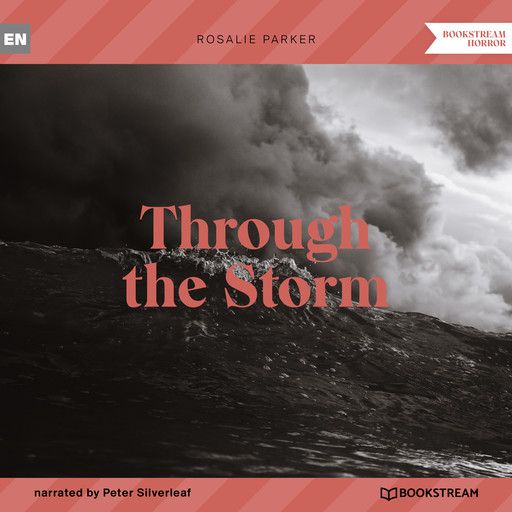 Through the Storm (Unabridged), Rosalie Parker