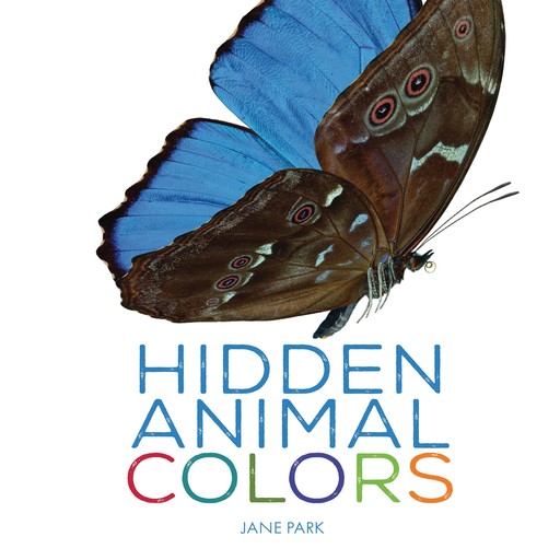 Hidden Animal Colors, Jane Park