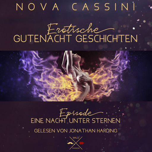 Eine Nacht unter Sternen - Erotische Gutenacht Geschichten, Band 4 (ungekürzt), Nova Cassini