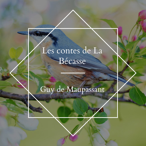 Les contes de La Bécasse, Guy de Maupassant
