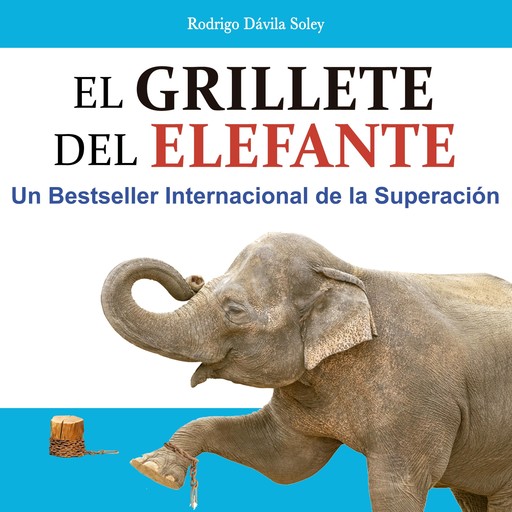 El grillete del elefante, Rodrigo Dávila Soley