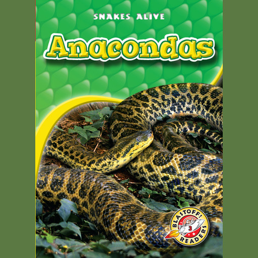 Anacondas, Colleen Sexton