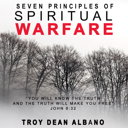 Seven Principles of Spiritual Warfare, Troy Dean Albano