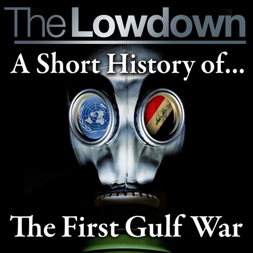 The Lowdown: A Short History of the First Gulf War, Robert Johnson