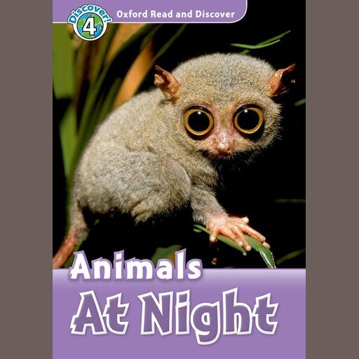 Animals at Night, Rachel Bladon
