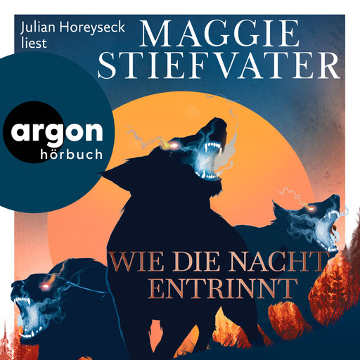 Wie die Nacht entrinnt - Dreamer-Trilogie, Band 3 (Ungekürzte Lesung), Maggie Stiefvater