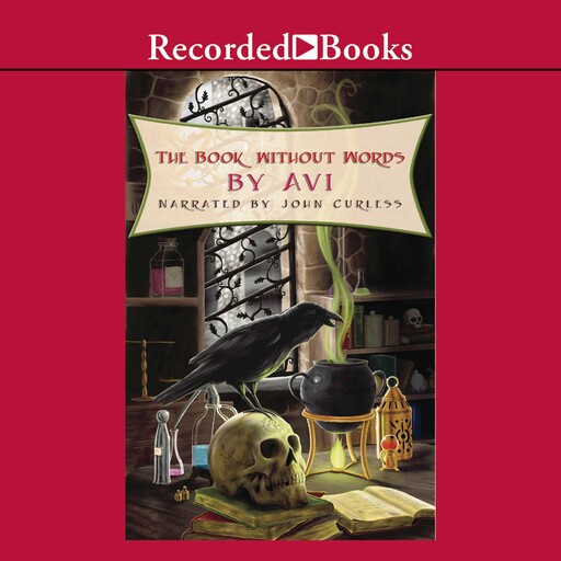 The Book Without Words, Avi