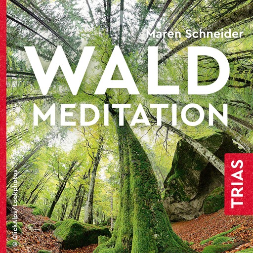 Waldmeditation, Maren Schneider