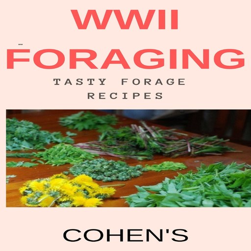 WWII Foraging, Cohen's