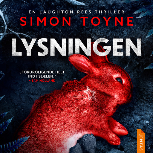 Lysningen, Simon Toyne