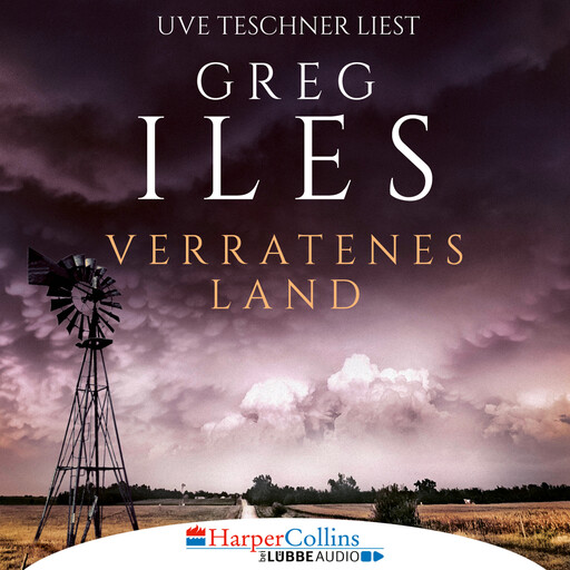 Verratenes Land, Greg Iles