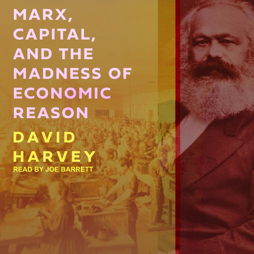 Marx, Capital, And The Madness Of Economic Reason, David Harvey