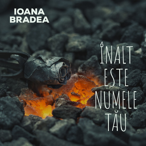 Înalt este numele tău, Ioana Bradea